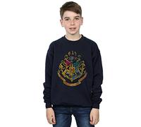 Official Licensed Harry Potter Distressed Hogwarts Crest Kids' Sweatshirt - Bold Graphic Print, Comfortable Fit UK - Available in Multiple UK Sizes - Machine Washable - Officially Licensed - Unisex