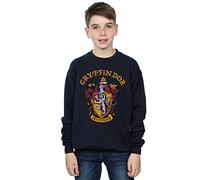 Official Licensed Harry Potter Gryffindor Crest Kids' Sweatshirt - Bold Graphic Print, Comfortable Fit UK - Machine Washable - Officially Licensed - Premium Quality Navy Blue