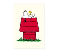 Official Peanuts Snoopy And The Doghouse Poster 16" x 24" (40x60 cm)