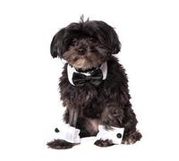 Official Rubie's Bowtie and Cuff Set Pet Costume Accessory, Medium/Large Halloween Halloween