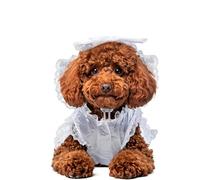 Official Rubie's Bride Dog, Wedding Pet Costume, Size Medium Halloween Halloween, World Book Day