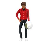 Star Images Big Bang Theory Howard Wolowitz Figure