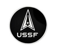 Officially Licensed U.S. Space Force Pin, 1 Piece, Metal, no gemstone