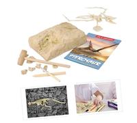 OFFIGAM 1Pc Dinosaur Archaeology Digging for Educational Play Archaeological Excavation Simulation Fossil Digging Activity Beige Intellectual Development