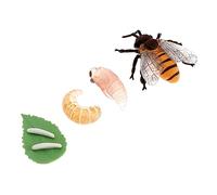 OFFIGAM 1Set Bee Growth Cycle Models Educational Insect Life Cycle Figurines for Realistic Development Stages for Learning Storytelling and Role Playing Activities