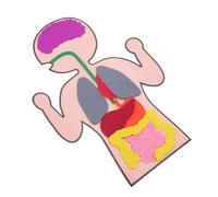 OFFIGAM 3 Sets Creative Human Organs Models Cognitive DIY Playthings for Educational Teaching Aid for Birthdays Festivals Develops Creativity Hand Eye Coordination
