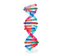 OFFIGAM Double Helix Dna Model Educational for Science Teaching Aid for Biology Learning Self Assembly Design for Interactive Learning Stem Kit