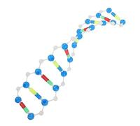 OFFIGAM Human Dna Double Helix Model Educational Teaching Aid DIY Molecular Structure Kit for Science Learning for Biology Displays and Classroom Use