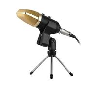 OFFIGAM Professional Condenser Microphone for Radio Broadcasting and Voice-over Sound with Reverberation Echo Function, Standard Screw Adapter, Angle Adjustment Locking Knob, Plastic