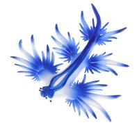 OFFIGAM Realistic Simulated Sea Slug Model Lifelike Animal Figurine for Educational Use Lightweight Sea Slug Decoration for Learning About Life