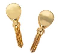OFFSCH 2 Pcs Metal Flute Head Screws for Repairing Flute, Clarinet, Saxophone Mouthpiece Clips, Musical Instrument Parts Accessories for Woodwind Instruments in Gold