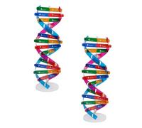 OFFSCH 2pcs DIY Double Helix Dna Model Science Educational Instrument Teaching Aid for Biology Classroom Molecular Genes Learning Tool