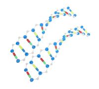 OFFSCH 2pcs Dna Double Helix Structure Models Human Genes Components Science Teaching Tool for Biology Education High School and University Use