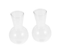 OFFSCH 2pcs Hydroponic Glass Bulb Vases for Home Office Decoration Glass Planter for Hydroponic Plants for Indoor Plant Display