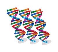 OFFSCH 3 Pcs Dna Double Helix Model Kit for Science Education Precise Structure Human Gene Building for Classroom Experiments and Interactive Genetics Learning
