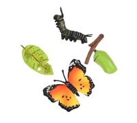 OFFSCH 3 Sets Butterfly Growth Cycle Educational Model Kits Realistic Insect Figurines for Classroom Teaching and Cognitive Learning Nature Exploration