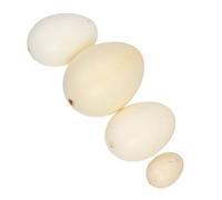 OFFSCH 4pcs Simulation Bird Eggs for Lifelike Speckled Eggs in Lightweight Educational for Painting Practice and Easter Basket Decorations