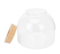 OFFSCH Diy Micro Landscape Bottle Terrarium with Moss and Wooden Stopper, Miniature Plant Container for Creative Office Desktop Greenery and Simple Microlandscape Gardening