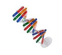 OFFSCH Dna Model Kit Self Assembling Double Helix Science Teaching Aid for Interactive Educational Instrument for Biology Courses Fun DIY Learning Experience Random Color