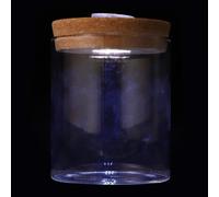 OFFSCH Ecological Bottle Borosilicate Glass Cylindrical and LED Light with Wooden Lid Glass Fish Bowl Easy to Observe and Decorate Your Room for DIY Microlandscape and Mini Fish Tank