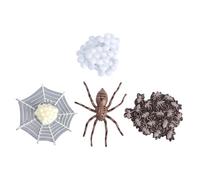 OFFSCH Educational Animal Evolution Model for Spider Life Cycle for Storytelling Role-playing Birthday Party Decorations and Teaching Supplies