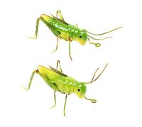 OFFSCH Garden Statue 2pcs Iron Insect Decor Anti-hand Paint for Outdoor Home and Bonsai Decoration