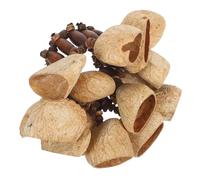 OFFSCH Handcrafted African Tribal Nut Shell Bracelet with Vibrant Sounds, Lightweight Handsfree Hand Percussion Bells, for Yoga and Dance Festival Accessories