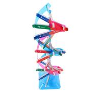 OFFSCH High Precision Dna Double Helix Model for Biology Teaching Compact Portable Gene Structure Tool for Classroom Demonstrations Home Study Science Fairs and Educational Exhibitions