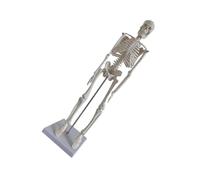 OFFSCH Human Skeleton Model Pvc Scientific Human Skeletal System Display White Standing Posture on Stand for Schools and Universities