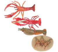 OFFSCH Lobster Growth Cycle Educational for Realistic Lobster Cognitive Models for Biology Learning Imitation Sea Creature Figures for Early Science Exploration and Nature Study