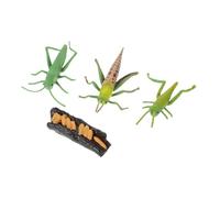 OFFSCH Realistic Growth Cycle Model for Educational Insect Figurine Plastic Biology Learning Tool for Preschool Science and Imaginative Play