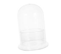 OFFSCH Unique Glass Terrarium Vase Clear Desktop Propagation Station for Moss Gardens Compact DIY Ecosystem Jar for Small Spaces and Home Decoration