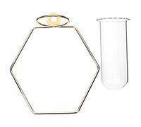 OFFSCH Wall Flower Vase Hexagonal Glass Propagation Tube for Hydroponic Plants Modern Decorative Wall-mounted Planter for Home Office Garden Kitchen Wedding Decor in French Gold