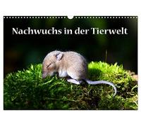 Offspring in the animal world UK-Version (Wall Calendar 2026 DIN A3 Landscape), CALVENDO 12 Month Wall Calendar