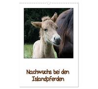 Offspring with the Icelandic horses UK-Version (Wall Calendar 2026 DIN A3 Portrait), CALVENDO 12 Month Wall Calendar