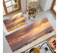 OFFSUM Kitchen Rug Set 2 Piece Steppe Zebra Kitchen Mat Sets Non Slip Washable Carpet 2 Pcs Hallway Entryway Bedroom Decoration