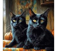 OfFsum Paint by Numbers Two Black Cats Magic hat 1 for Adults and Kids DIY Oil Painting Gift Kits Pre-Printed Canvas Art Home Decoration 16x20 inch Frameless
