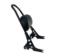 OFHGFHNxvfg Detachable Rear Passenger Sissy Bar Backrest Cushion Pad W/Docking Hardwares For Sportster XL 883 1200 2004-2021