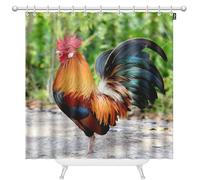 oFloral Colorful Rooster Shower Curtains for Bathroom on Green Nature Background Polyester Waterproof Shower Curtain with Hooks 72 x 72 Inch