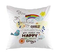 oFloral Decorative Throw Pillow Case You are My Sunshine with Bird Cloud and Sun Square Cushion Cover for Home Sofa Bed Chair Couch Living Room Decoration Euro Pillow Size 18 x 18 Inch