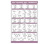 OFXOAAAT Workout Poster Set for Balance Trainer, Illustrated Exercise Charts for Core, Legs, Glutes, Home Fitness Decor, Training Guide for All Levels(Framed,08x12inch(20x30cm))