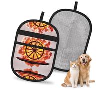 OFYGJFB Reusable The Wheel of Ixion Pet Hair Remover Gloves, Extra Durable Electrostatic Mitts for Multiple Dogs & Cats, Furniture, Carpet, Car Seat Hair Removal