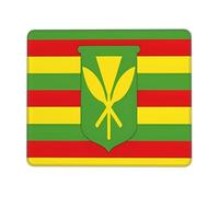OFYGJFB Square Mouse Pad with Stitched Edges - 10 x 12 inch Small Mousepad for Wireless Mouse, Native Hawaiian Flag Mouse Pads for Laptop, Gaming, Office & Home Decor