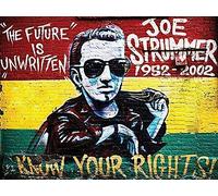 OG Joe Strummer, Know Your Rights, Large Metal Sign, 30cm x 40cm