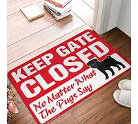 OGBD Funny Welcome Mats For Front Door Keep Gate Closed Noter What The Pug Say Rug Funny Entry Doormat Fall Rugs For Front Door(50X80CM)