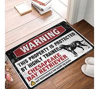 OGBD Large Doormats For Outdoor Entrance Warning This Property Is Protected By A Highly Trained Chesapeake Bay Retriever Doormat Backyard Bar Decor Bathroom Gifts(40X60CM)
