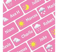 Ogelz Personalized Name Labels for Kids Custom Stcikers Washable for Clothes and Gear Non Iron Waterproof for Kids Stuff Daycare Toddlers School Supplies Water Bottle Camp (Weather Pink)