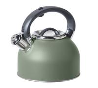 OGGI Tea Kettle for Stove Top - 64oz / 1.9lt, Stainless Steel with Loud Whistle, Ideal Hot Water Kettle and Water Boiler - Sage