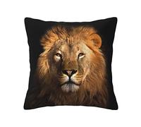 OGNOT African Animal Lion Decorative Throw Pillow Covers Cushion Cases,Square Cushion Case, Pillow Covers for Sofa Bed,16 X 16inch