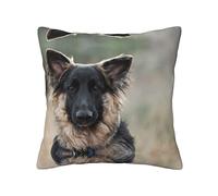 OGNOT Animal German Shepherd Decorative Throw Pillow Covers Cushion Cases,Square Cushion Case, Pillow Covers for Sofa Bed,16 X 16inch